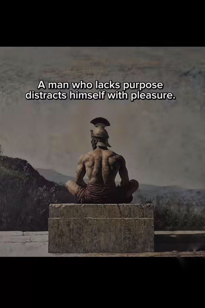 Shamz Tabrizi tweet media