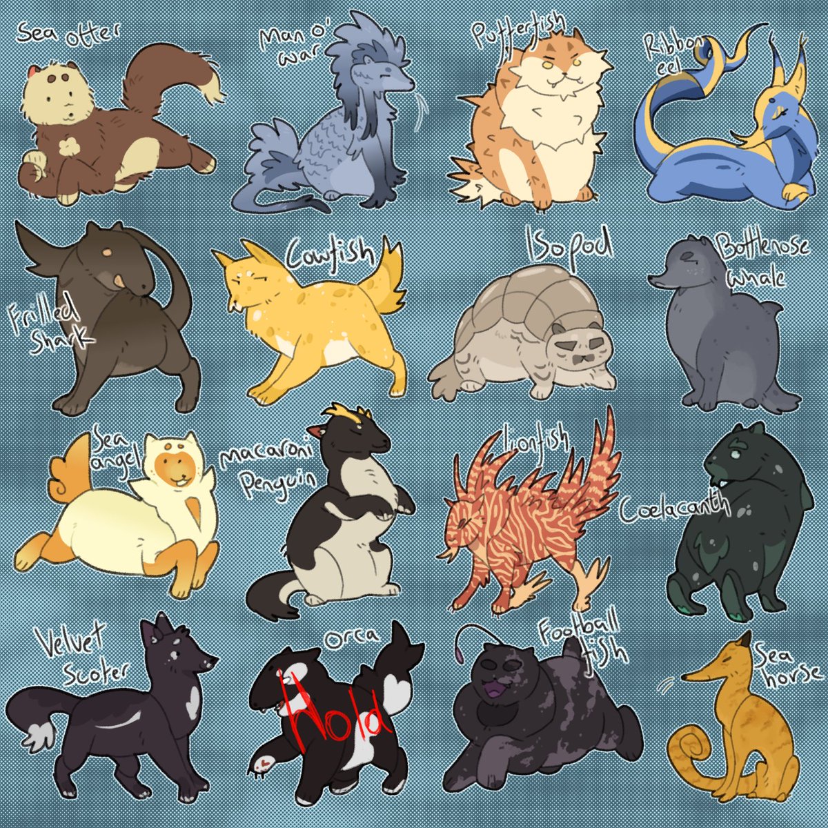 Ray 🐟🦭 tweet media