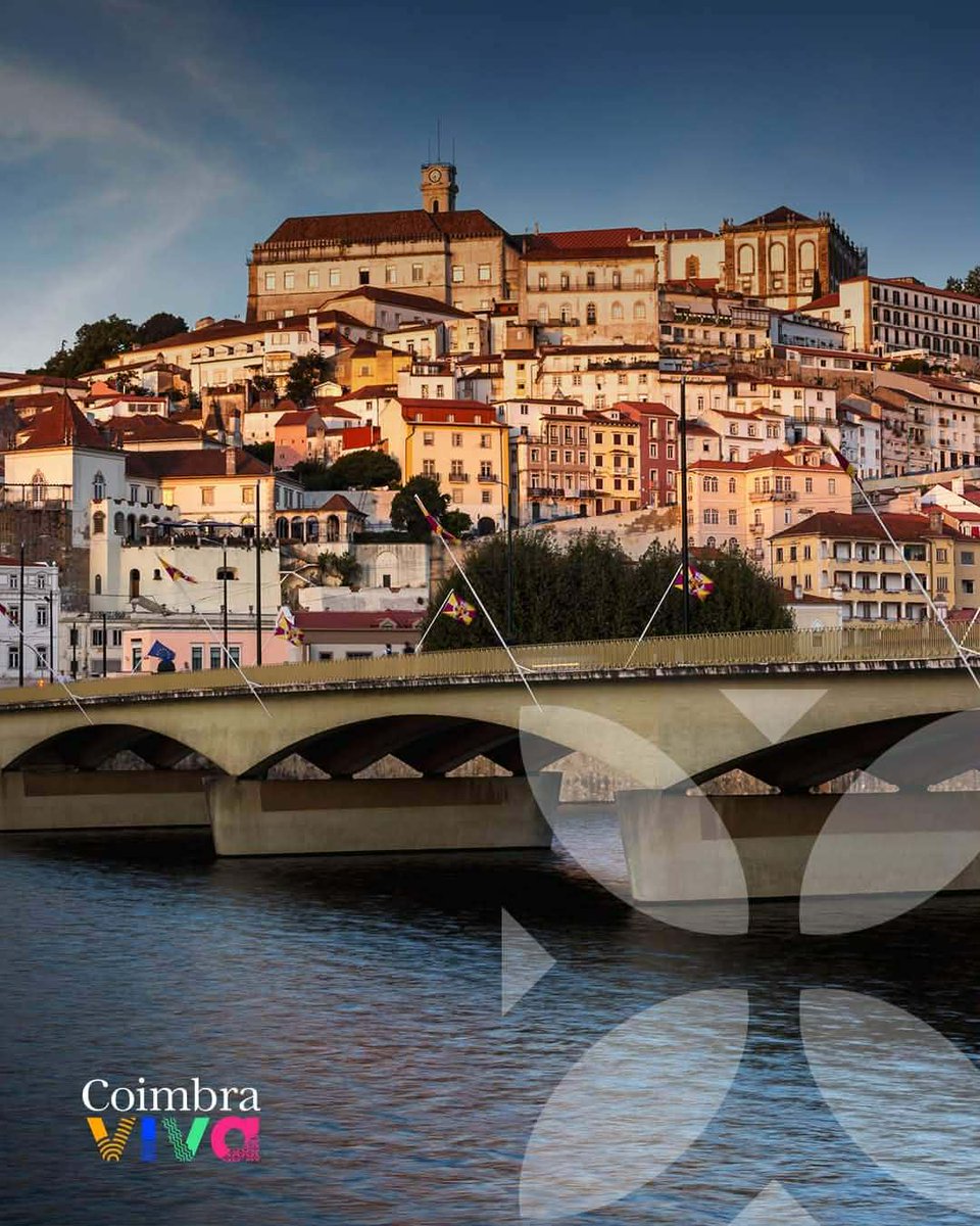 Jorge Moreira tweet media