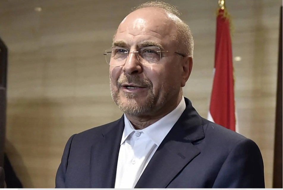 Lawrence 精卫 tweet media