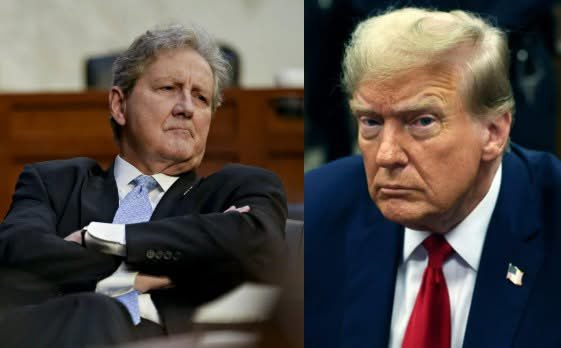 Occupy Democrats tweet media