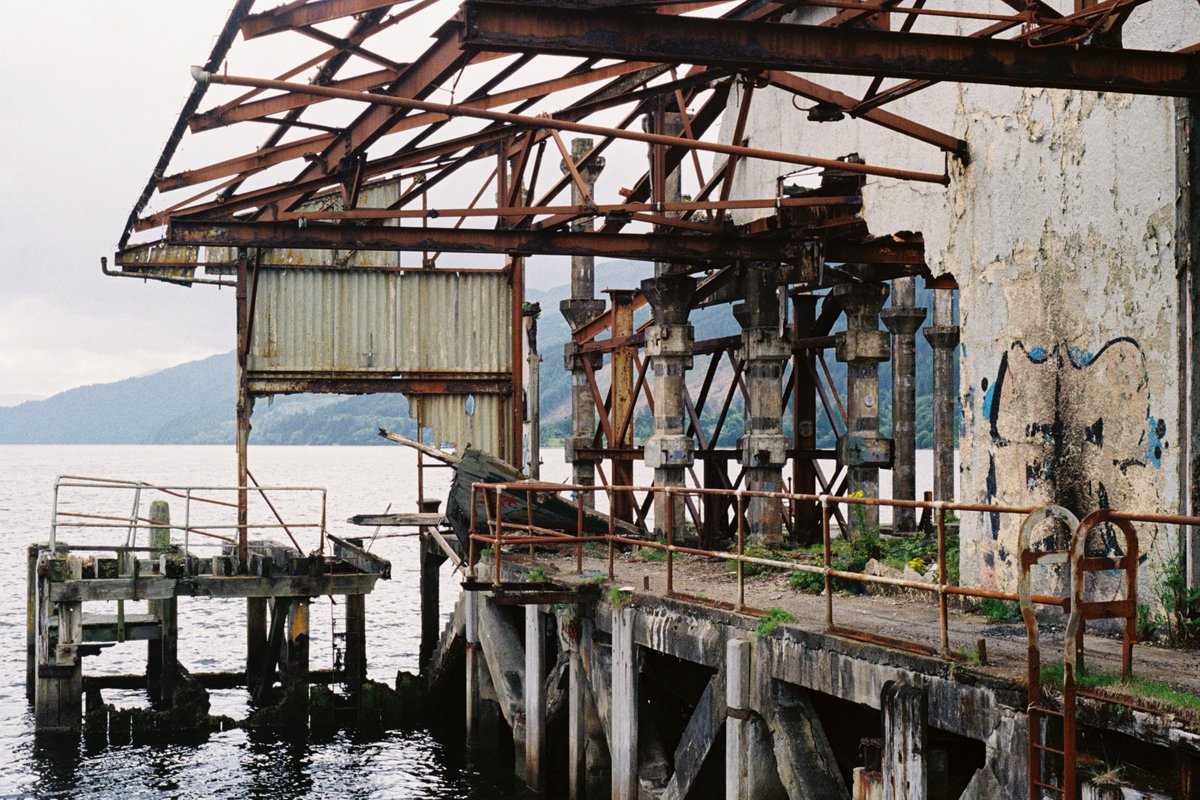 elle 🐇 tweet media