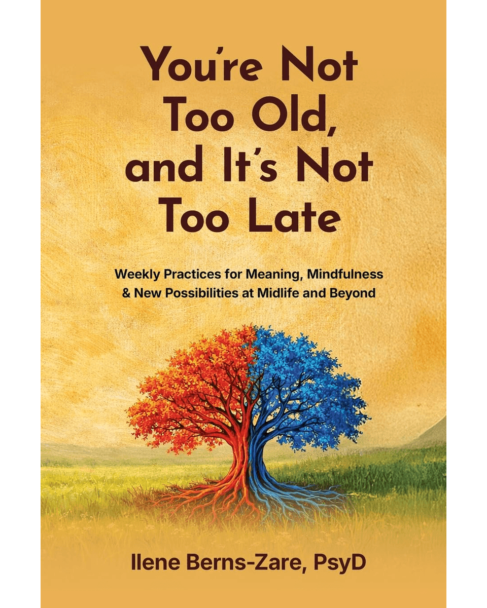 LiteraryTitan's tweet image. Ilene Berns-Zare gives readers a weekly guide that reframes the way they look at aging. Berns-Zare encourages mindfulness and urges those in #midlife to embrace creativity and open themselves to to finding meaning in this new season. 
#nonfiction #selfhelp
amzn.to/4btaRNW?utm_ca…