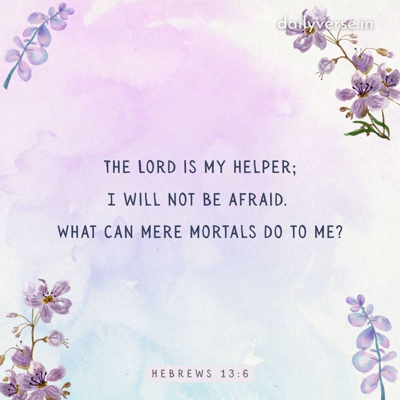 JOHNNY DIAMOND. tweet media