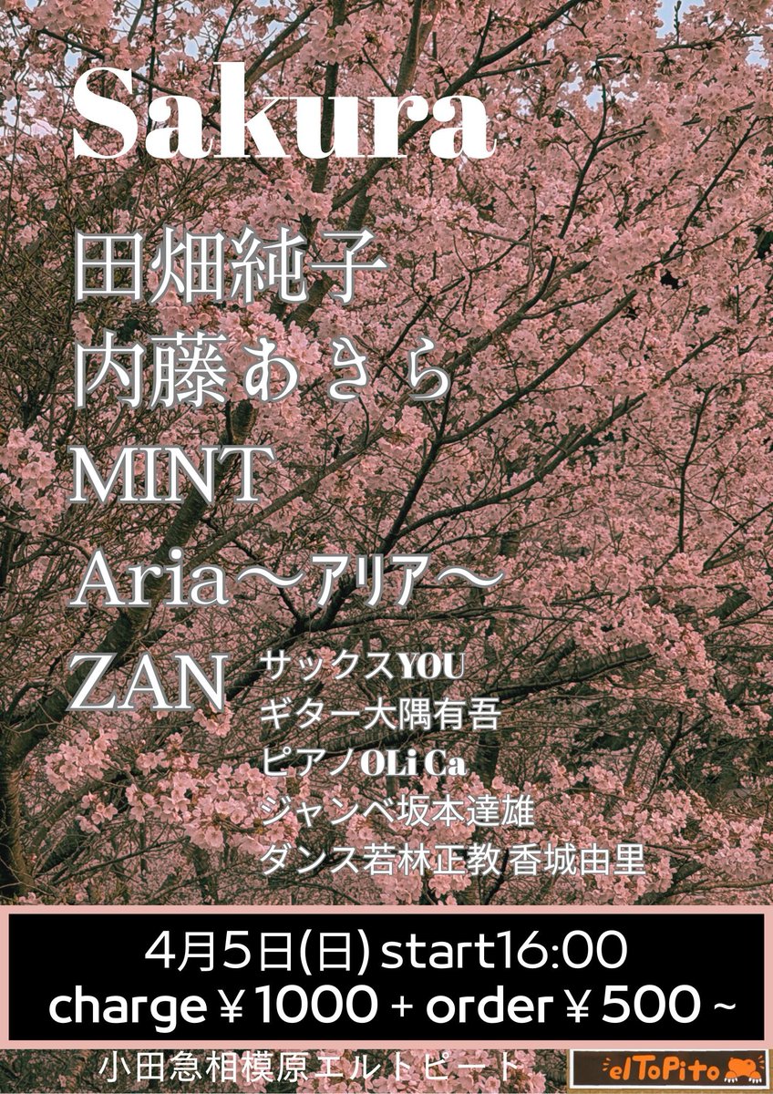 MINT(中性12弦、6弦弾き&DorothyのBass) tweet media