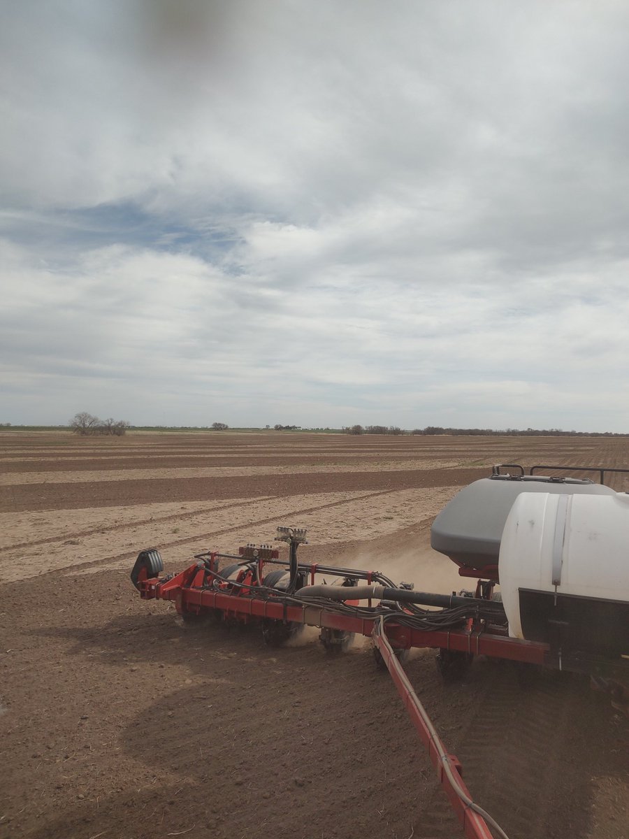 Paul Ferda tweet media