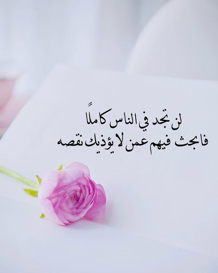 🌷رهف 🌹🌹 tweet media