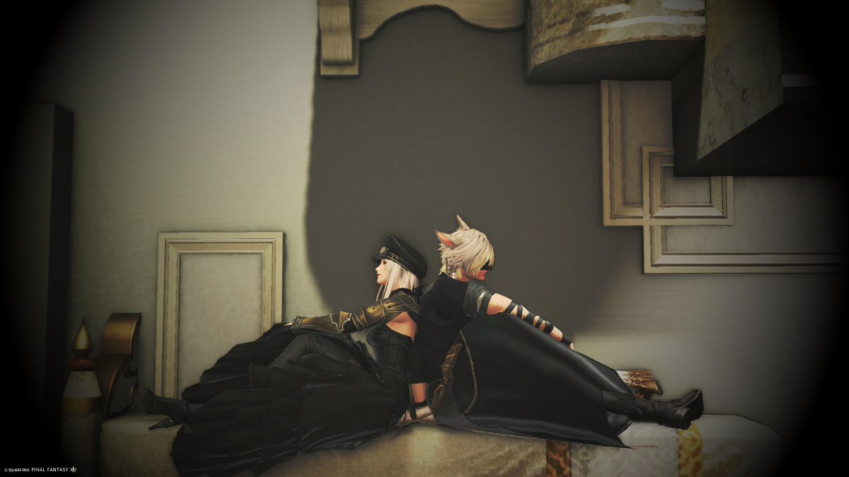 Filo🐈 tweet media