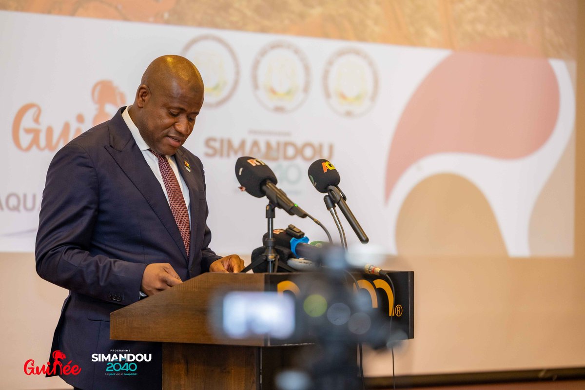 COMITÉ STRATÉGIQUE DE SIMANDOU tweet media