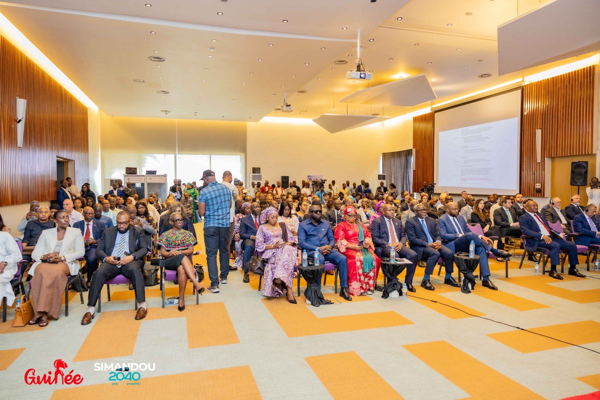 COMITÉ STRATÉGIQUE DE SIMANDOU tweet media