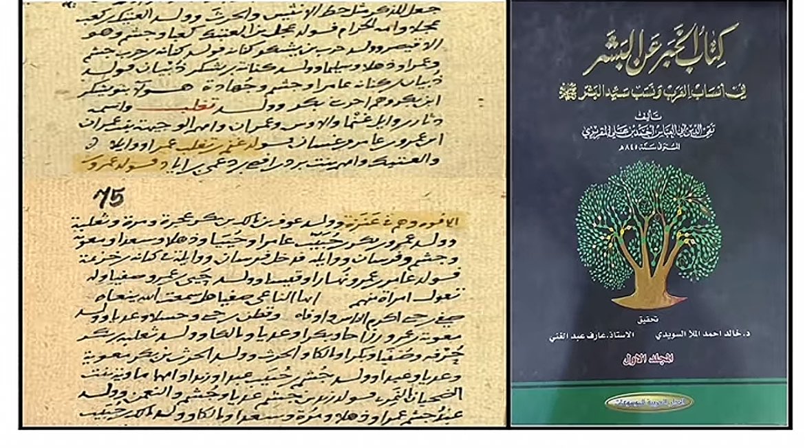 احسنت أخي جهز فيما تقول وايضاً هناك دخول لبني تغلب في قبيلة عنزة الوائلية واكد على ذلك علماء النسب القدماء ومن ابرزهم :
١- بن كلبي 
٢- ياقوت الحموي
٣- الاخطل 
٤- المقريزي 
* ولذلك عنزة الوائلية تنقسم حسب علماء الانساب الى قسمين :
١- مسلم وهم بكر بن وائل
٢- بشر وهم من تغلب بن وائل