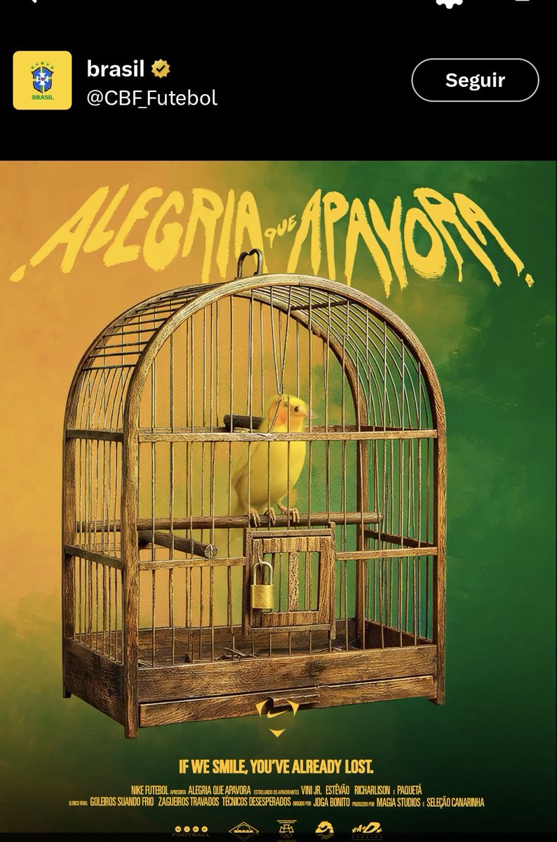 Frankito, o Curioso® tweet media