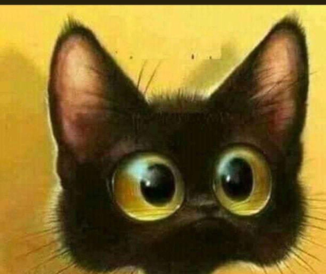 الشـيـخ تـويـتـي  tweet media