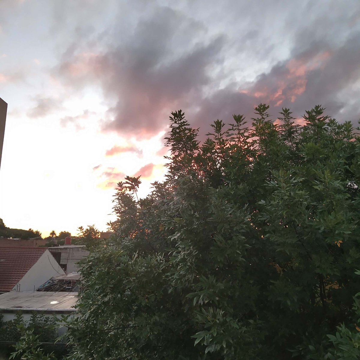 Red 👾 tweet media