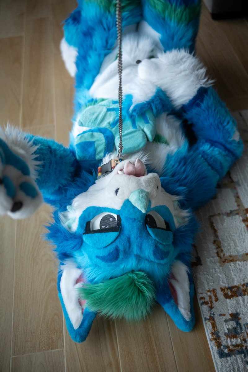 Tecario 🔜 NFC tweet media