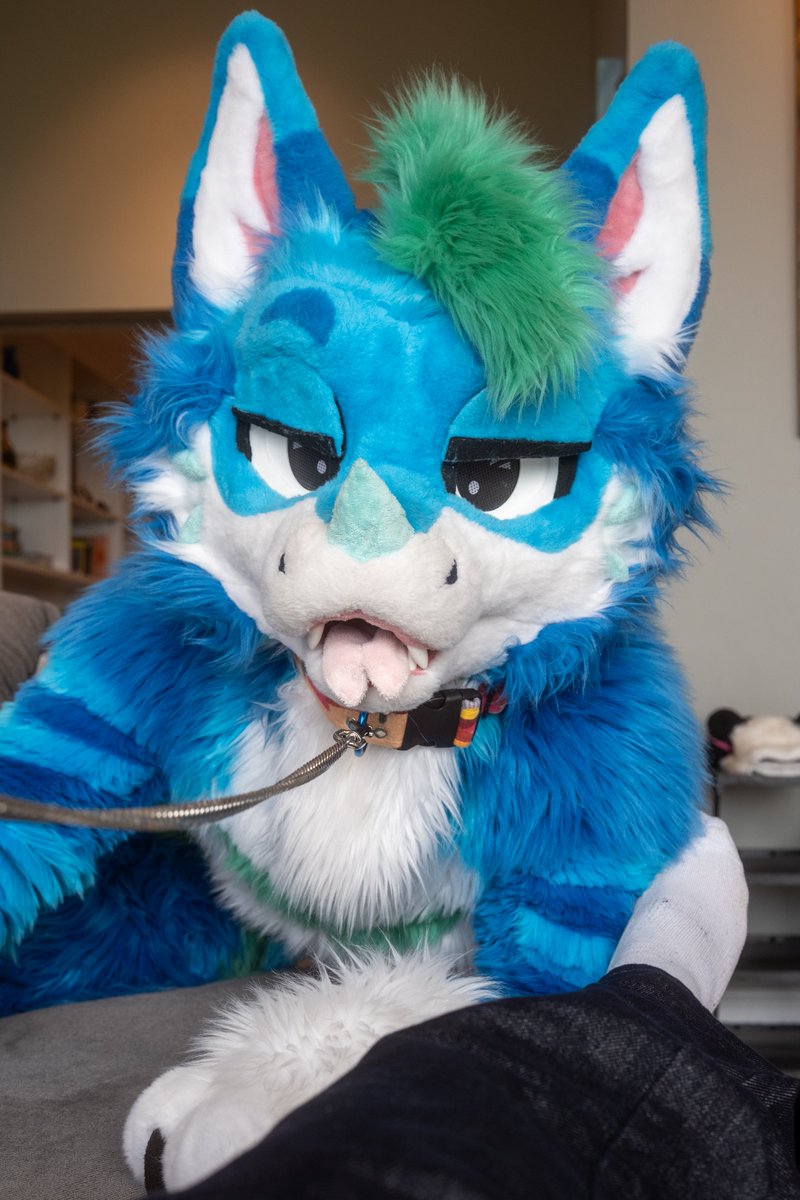 Tecario 🔜 NFC tweet media