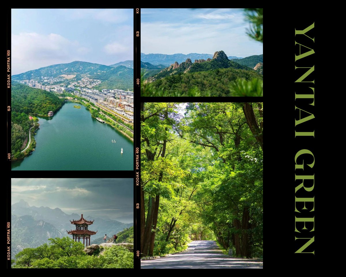 TravelYant95583's tweet image. Spring in Yantai = Colorwalk 🎨
Orange sunsets.
Green mountains.
Blue sea.
Pink blossoms.
Pick a color.
Start walking.
#Yantai #Colorwalk #SpringInYantai #VisitYantai