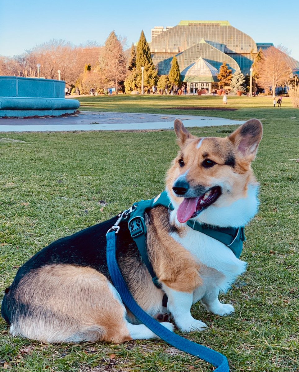 Michael R. tweet media