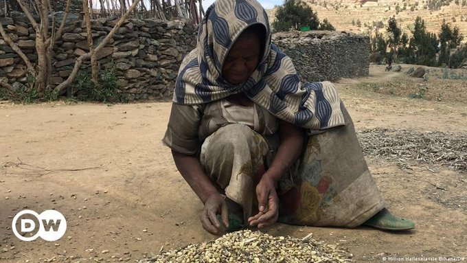 Romhai ሮምኃይ tweet media