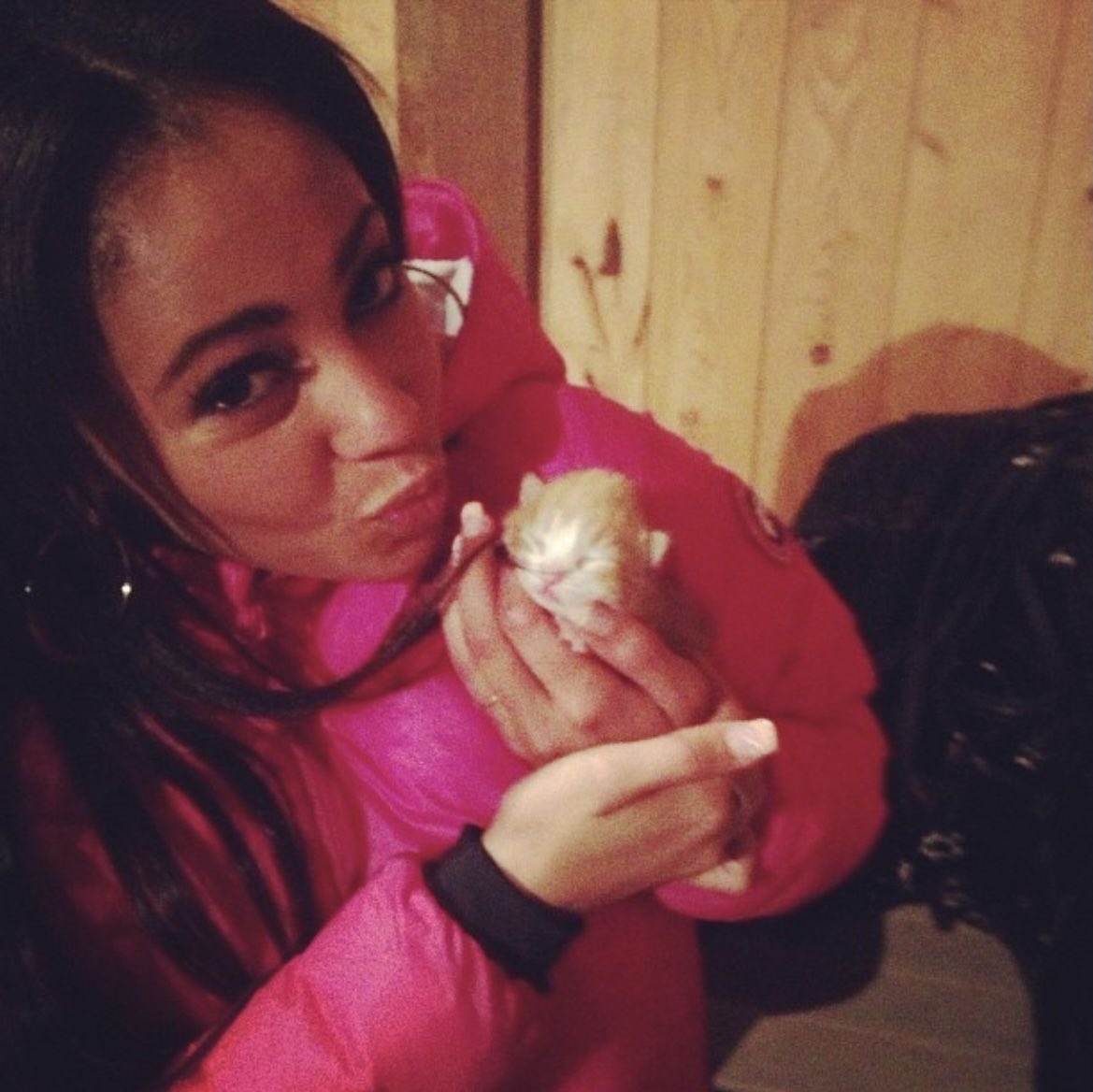Vanessa Morgan Brasil tweet media