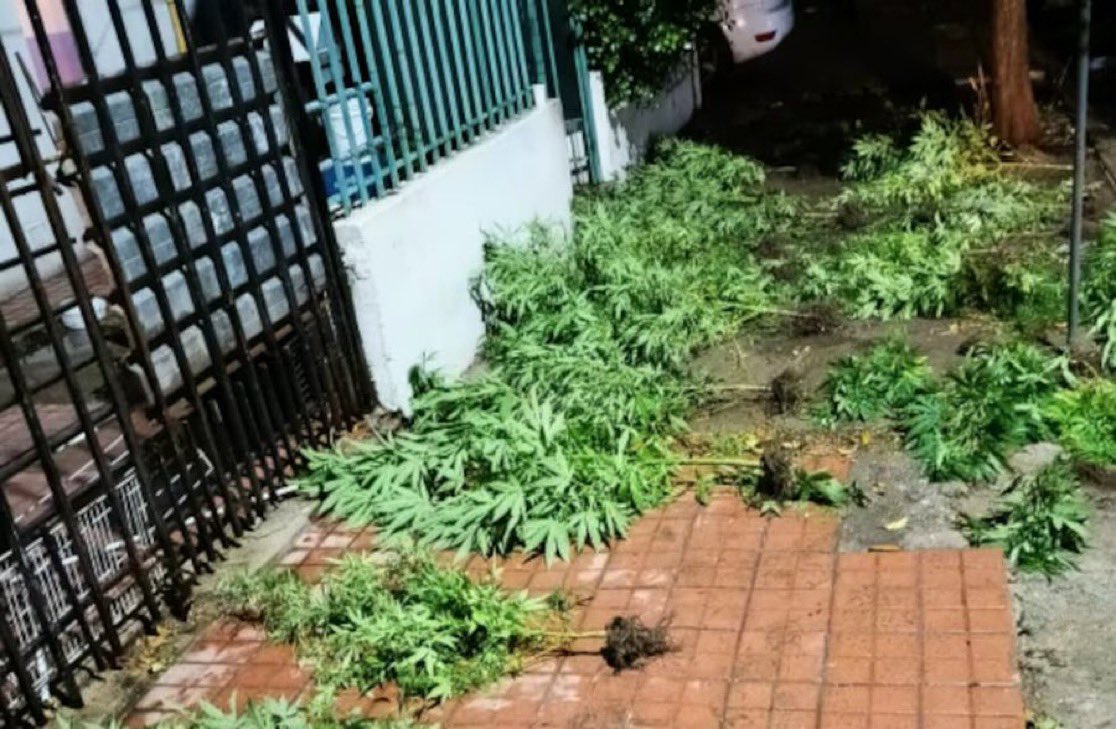 Tendencias en Argentina tweet media