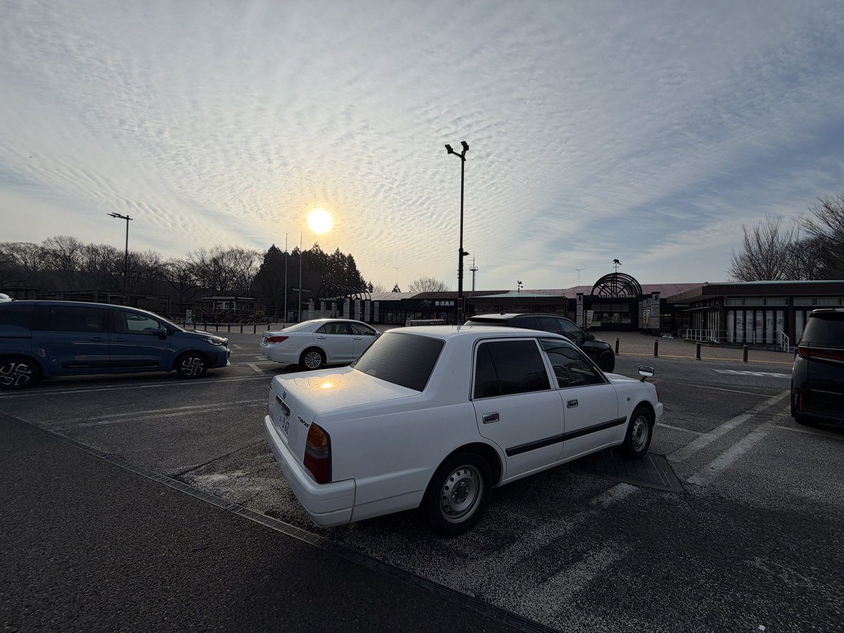 センダさん。 tweet media