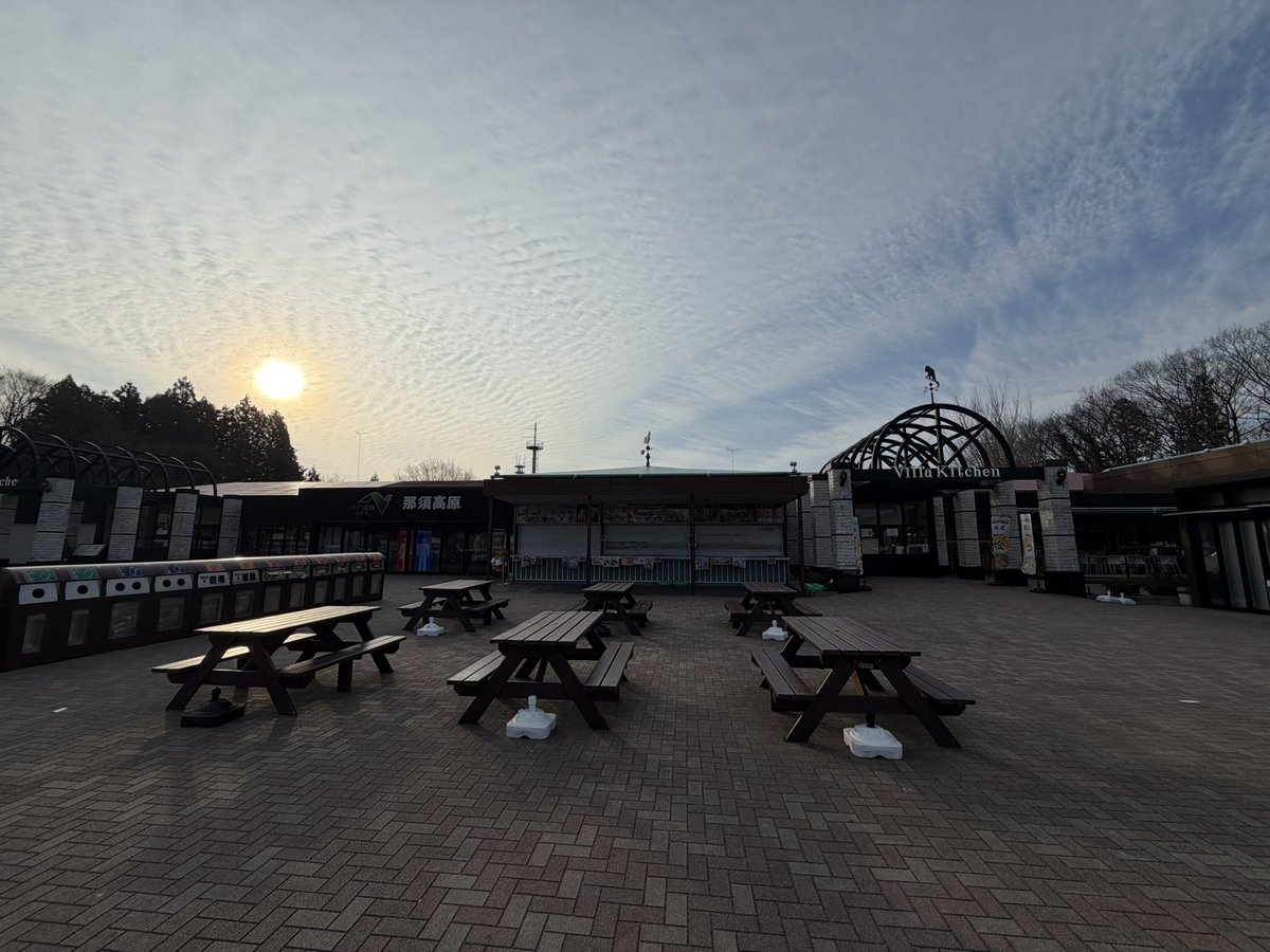 センダさん。 tweet media