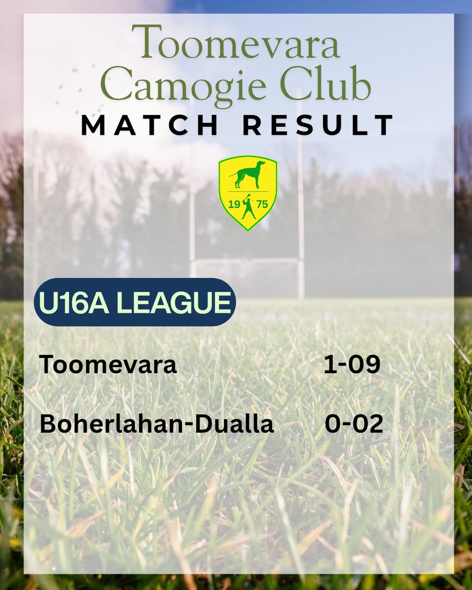 Toomevara Camogie tweet media