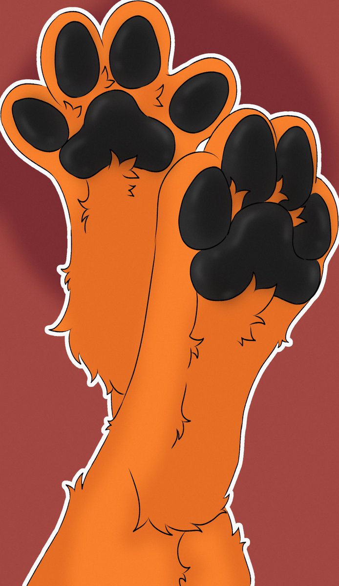 Finn the Fox tweet media