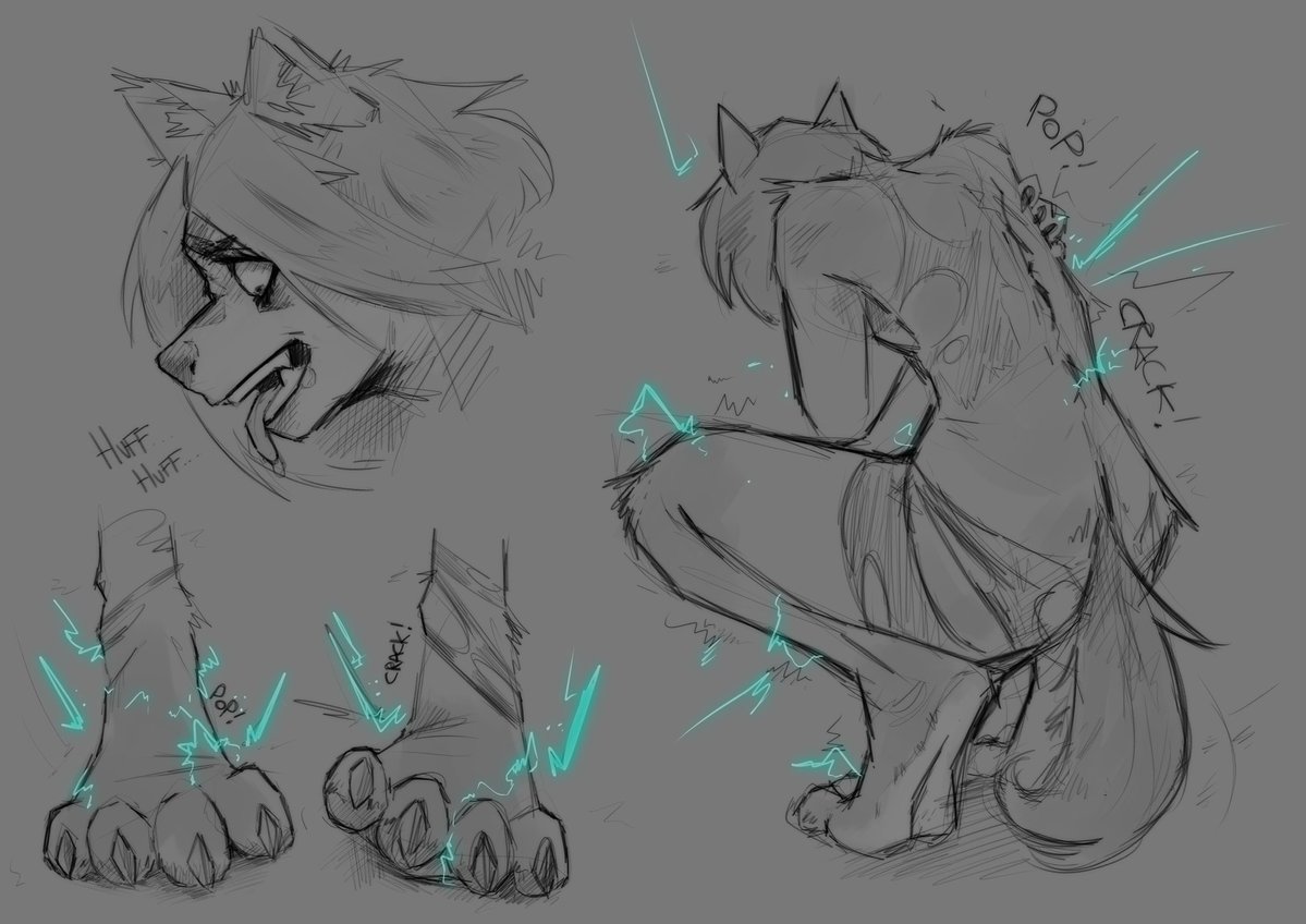 OKAMITFs 狼 🇮🇹 tweet media