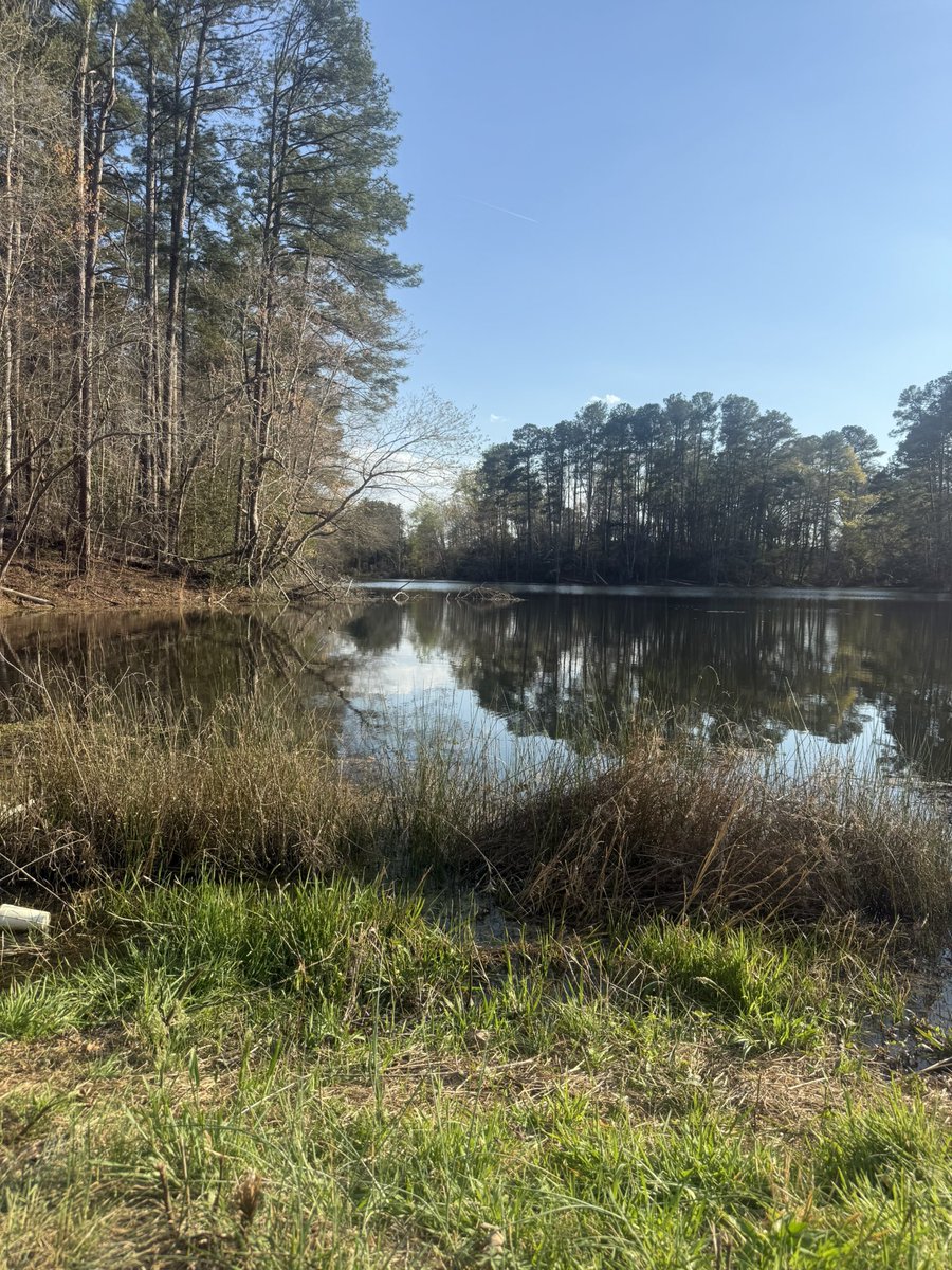 Steven hawkins tweet media