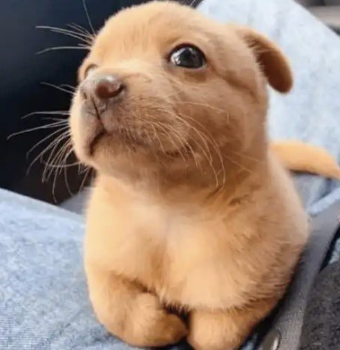 jackiee. 🥪 tweet media