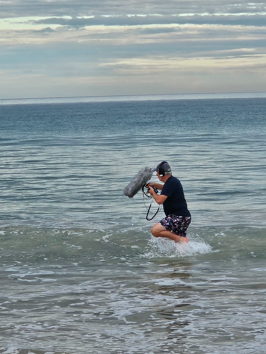 Tiger Charlie 🦘🐯 tweet media