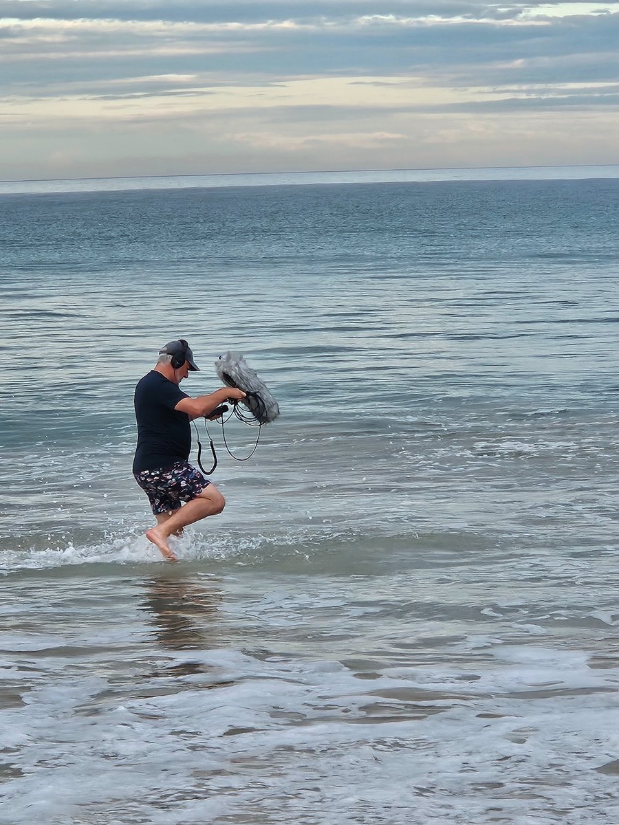 Tiger Charlie 🦘🐯 tweet media