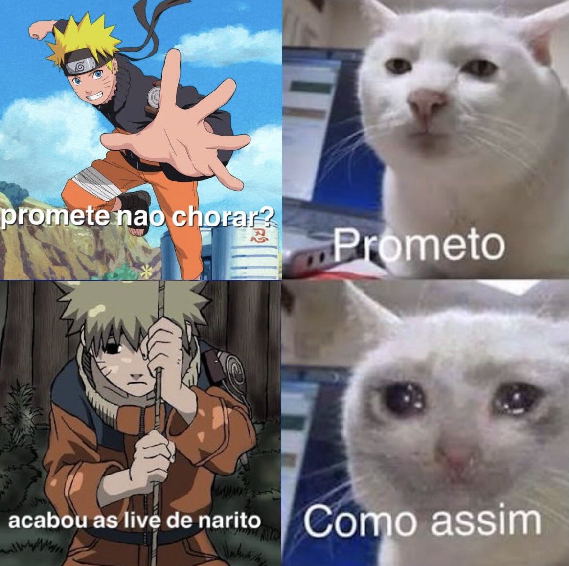 advogado miguel tweet media