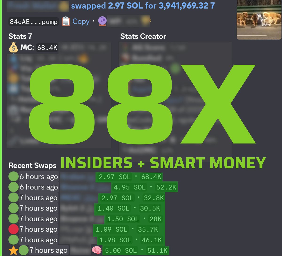 Alpha Gardeners tweet media