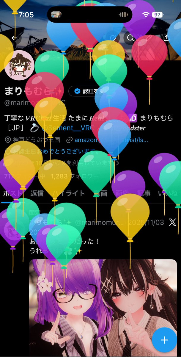 まりもむら✨ tweet media