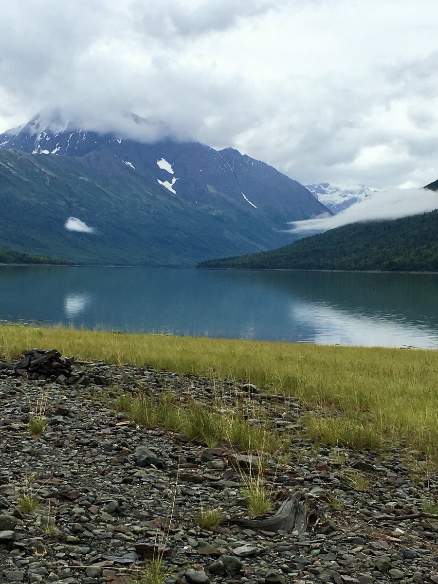 GritsAndGrace tweet media