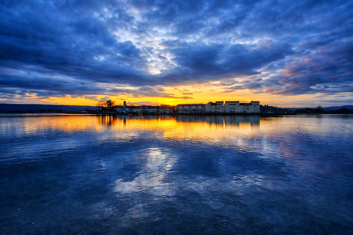 Patrick Kenealy tweet media