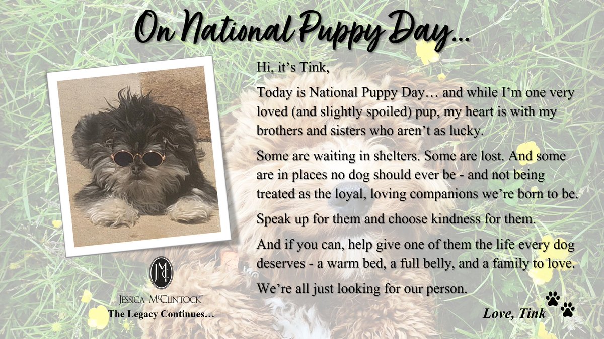 LifeByJessica1's tweet photo. Join us in recognizing #NationalPuppyDay https://t.co/sAuYfciCuU