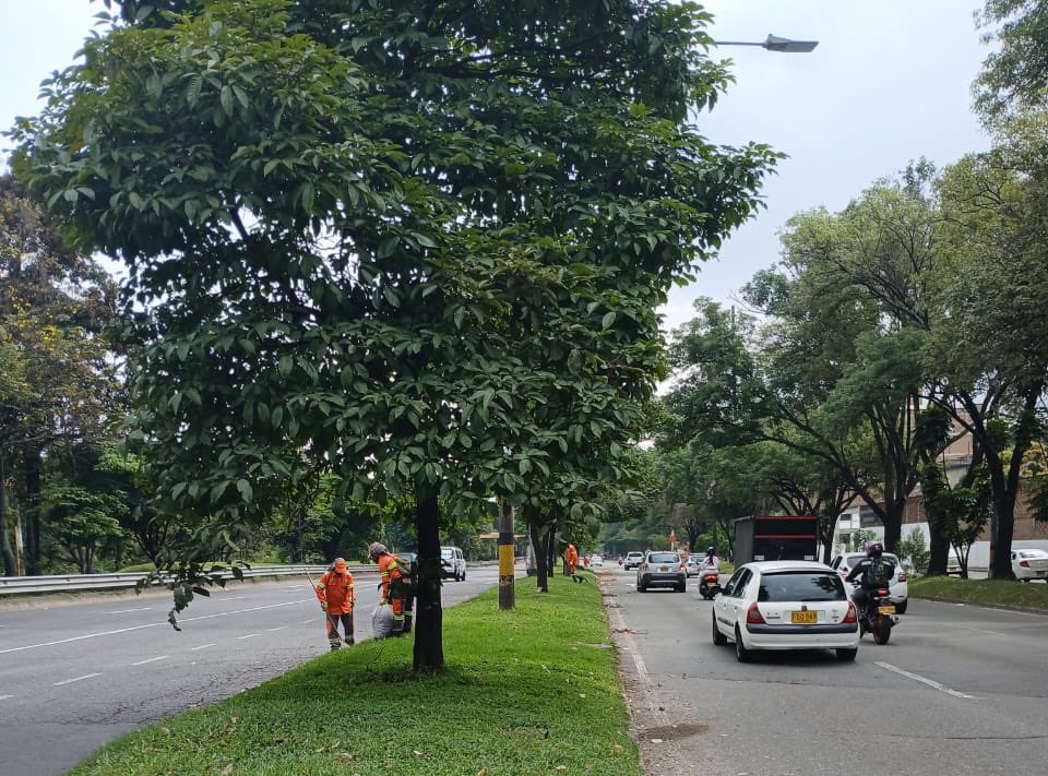 Emvarias Grupo EPM tweet media