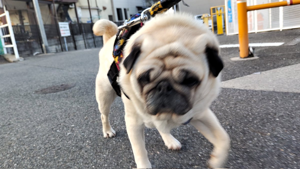 いんでぃ tweet media