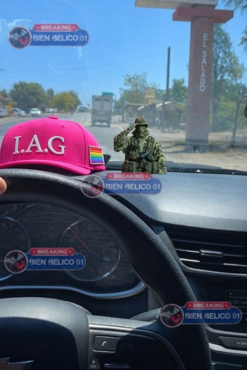 ExDeJardine 🇧🇷🦅 tweet media