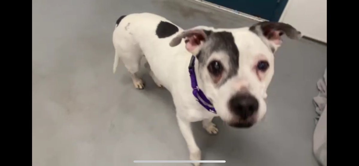 John McDevitt tweet media