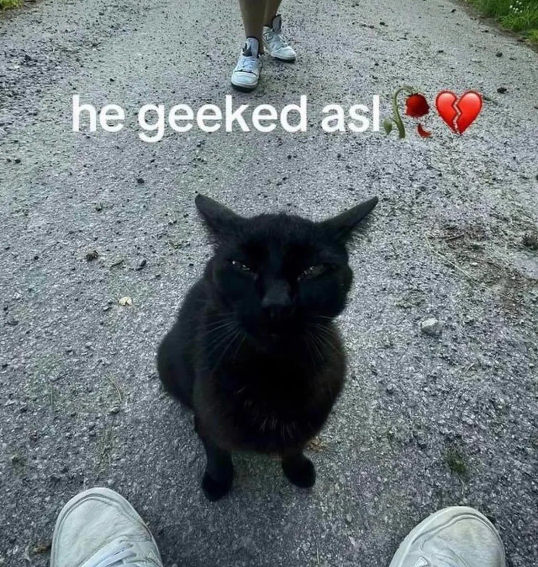 Queen Liza🩷🤍💙 tweet media