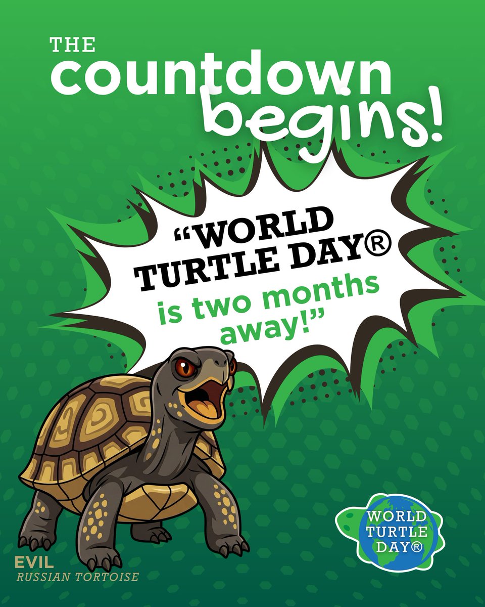 World Turtle Day® tweet media