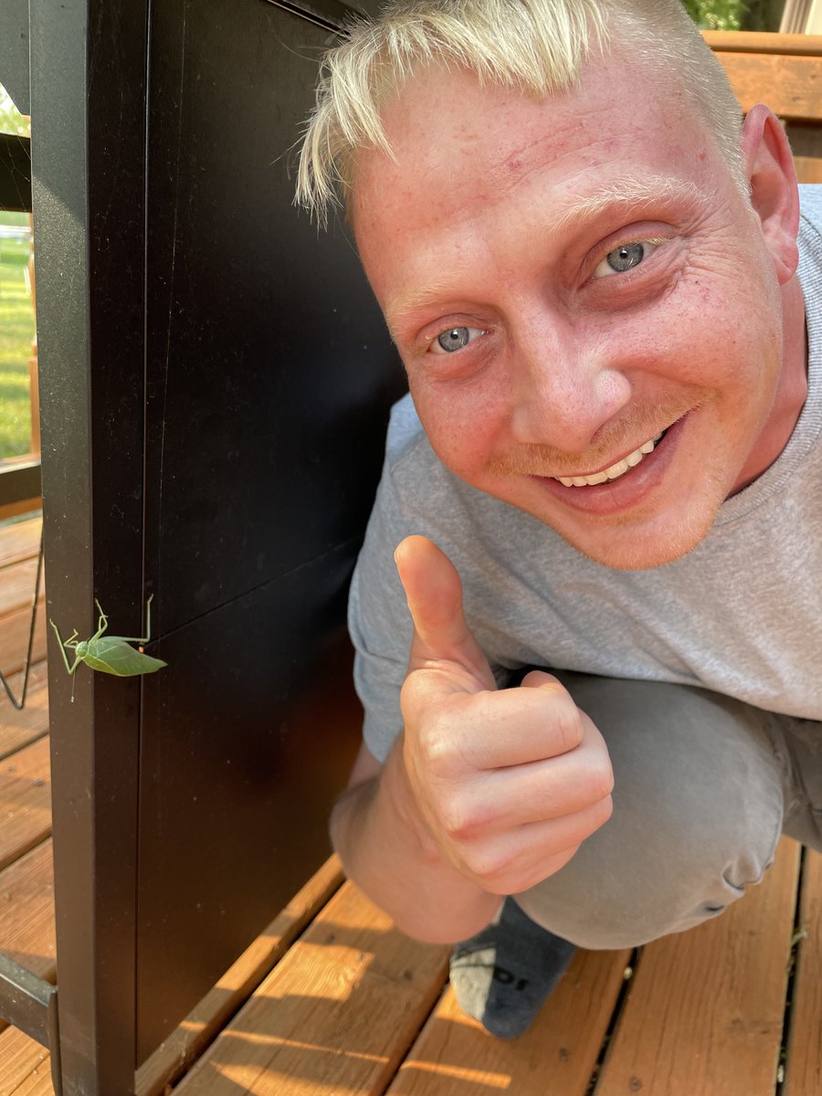 Sol_Sealed777 Music tweet media