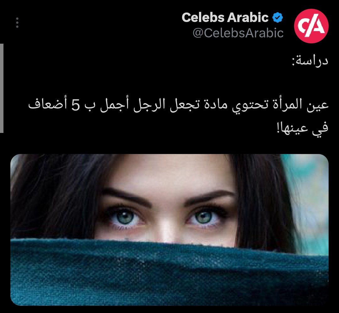 حمامة سلام tweet media