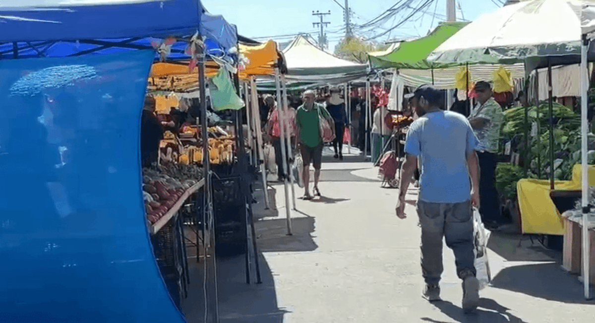 MiRadiols's tweet photo. «Agaché a mis hijos y los cubrí»: Mujer relata momentos de terror durante balacera en feria de sector Las Torres en Coquimbo https://t.co/FwqGXfqOhd https://t.co/1NncBM7m7l