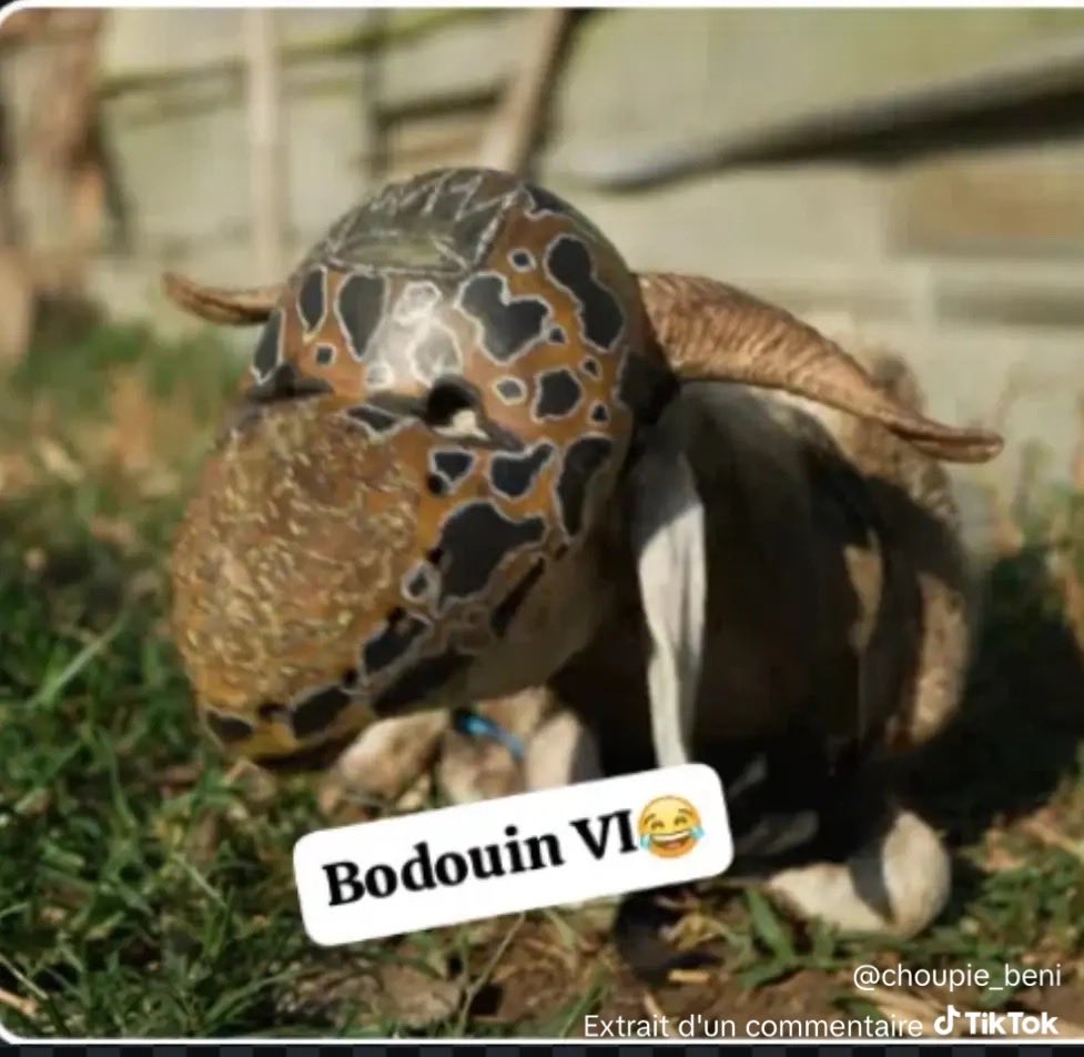 Dolo tweet media